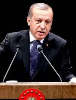 اردوغان والسفير الروسي 