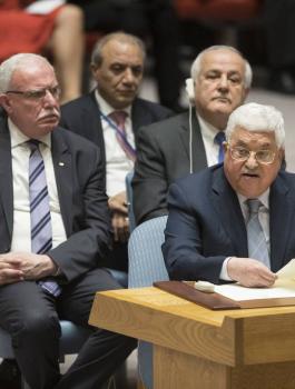 فلسطين ومجلس الامن الدولي 