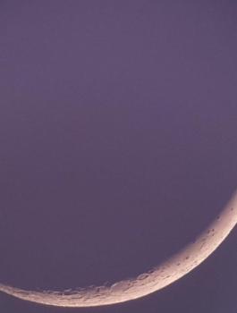 عيد الاضحى المبارك 