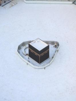 السعودية وفيروس كورونا 