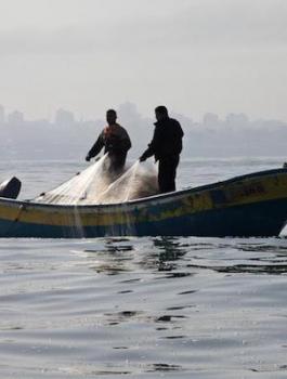 نقابة الصياديين الفلسطينيين 