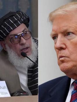 طالبان وترامب 