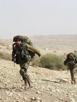 الاردن والضم واسرائيل 