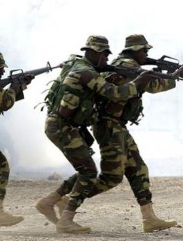 السنغال وزامبيا 