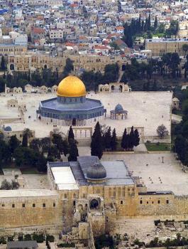 وزير الخارجية المصري وفلسطين 