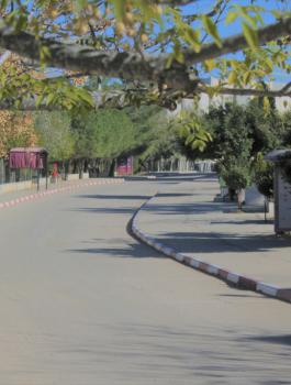 اضراب جامعة بيرزيت 