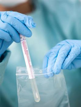 154-171136--_15f5b778878fa5