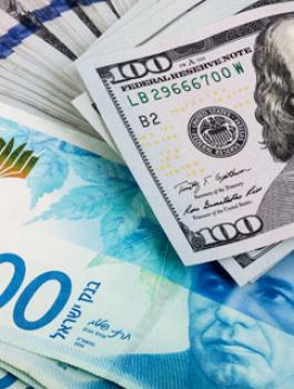 1NL