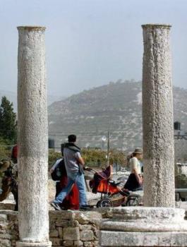 a3dc3f49b787672167d8d2f95ff34f7c