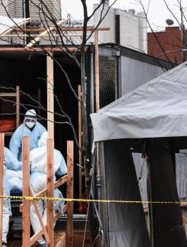 وفيات كورونا في اميركا 