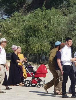 اقتحام المستوطنين للمسجد الأقصى المبارك 