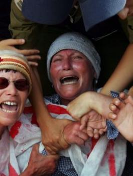 المستوطنون وقطاع غزة 