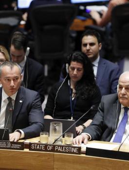 ميلادينوف وغزة 