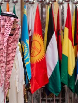 القمة الاسلامية والقضية  الفلسطينية 