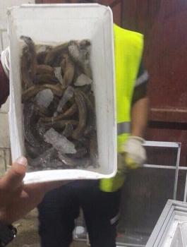 محل الكوكتيل في رام الله 