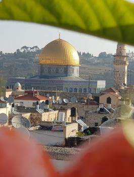 حالة الطقس في فلسطين 