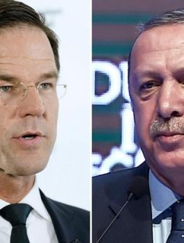 هلوندا تعتذر لتركيا 