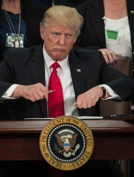 سور المكسيك 