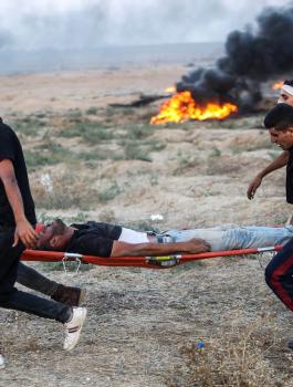 منظمة التحرير وغزة 