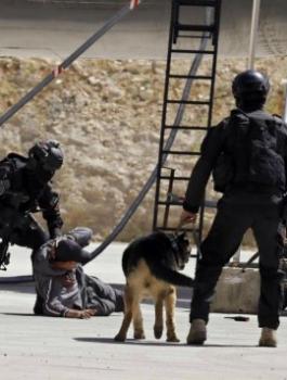 الارهاب في الاردن 