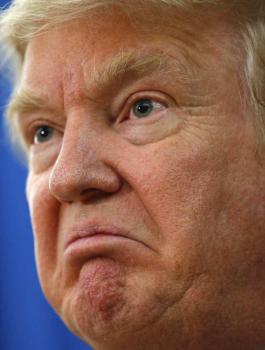 عضو في حزب ترامب: الحزب أصبح للمسنيين والحقد لا يصنع فلسفة حكومية