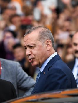 الشيوخ الامريكي وتركيا 