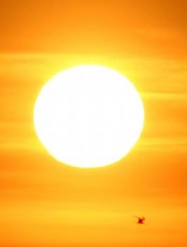 11850512_867620843324908_515559638640427754_o-620x330