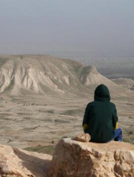 الحكومة والاغوار 