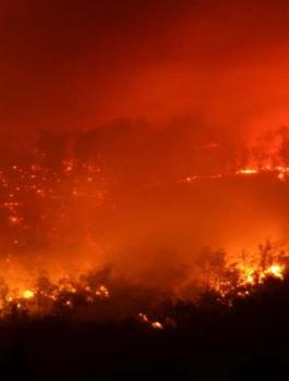 حريق في محمية طبيعية بأريحا 