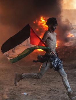 الشهداء الفلسطينيين في غزة والضفة الغربية 