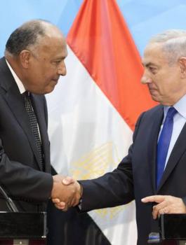 وزير خارجية مصر يشارك بجنازة بيريس 