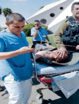 بسبب لسعة نحلة.. جندي بالجيش النظامي الإسرائيلي في غرفة الإنعاش!