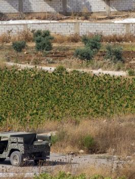 الجيش الاسرائيلي ولبنان 