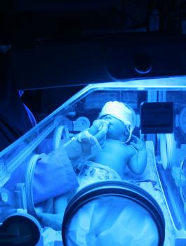 مواليد في الضفة الغريبة 