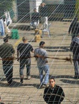 الاسرى الفلسطينيين في السجون الاسرائيلية  