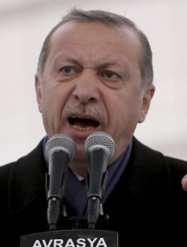 اردوغان ووزير الخارجية الالماني 