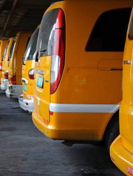 لجنة السير برام الله وتفشي كورونا 