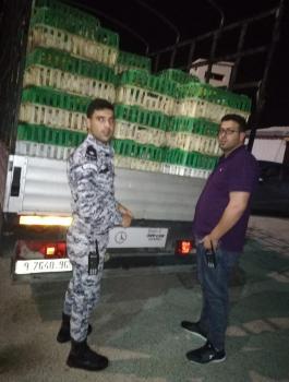 اتلاف دجاج مهرب في الخليل 