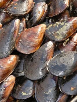 c410003ef13d451727aeff9082c29a5c