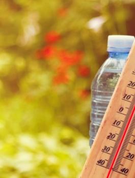 حالة الطقس في فلسطين 