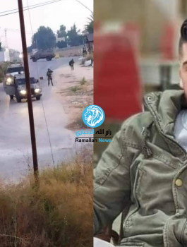 الشهيدة داليا استيتي 