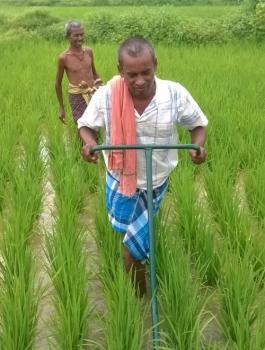 16 مليون مزارع هندي يعلنون مقاطعة إسرائيل