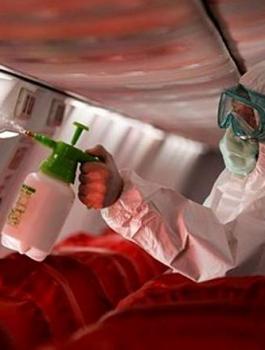 فيروس كورونا في الهند 