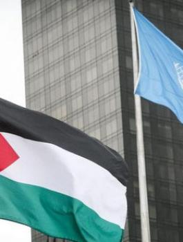 انتخاب فلسطين نائب رئيس بلجنة القضاء على التمييز التابعة للأمم المتحدة