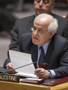 مجلس الامن والقضية الفلسطينية 