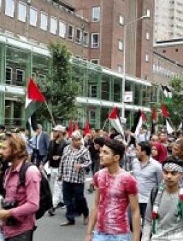 الجالية الفلسطينية في هولندا  