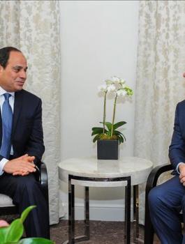 العاهل الاردني والسيسي والقضية الفلسطينية