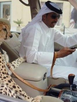 الاثرياء في الامارات 