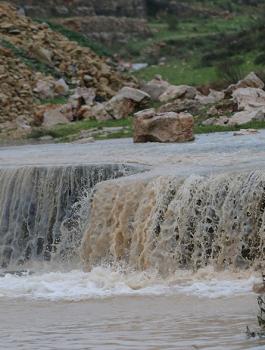 منخفضات جوية قادمة تحمل الخير الوفير والمبشرة للقطاع الزراعي
