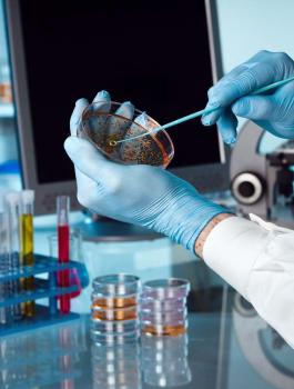 عقار مضاد للسرطان يزيد من فرصة الإصابة بأمراض القلب